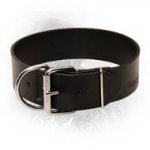 Extra Wide Leather Collar 50 mm for Newfoundlands