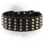 Newfoundland Studded Leather Collar 50 mm