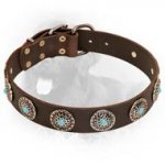 Newfoundland Leather Collar with Blue Stones
