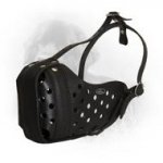 Universal Comfortable Leather Newfoundland Muzzle