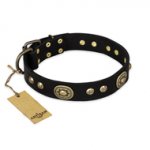 "High Fashion" FDT Artisan Studded with Plates Black Leather Newfoundland Collar