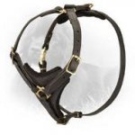 Tracking Leather Newfoundland Harness with Comfy Y-Chest Plate