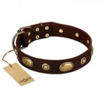 "Hebe's Jewel" FDT Artisan Brown Genuine Leather Newfoundland Collar