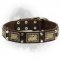 Vintage Leather Newfoundland Collar with Nickel Pyramids and Brass Plates