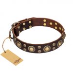 'Flower Melody' FDT Artisan Brown Leather Newfoundland Collar with Mixed Studs