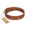 "Star Shine" Exclusive FDT Artisan Tan Leather Newfoundland Collar with Silver-Like Adornments