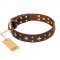 'High Fashion' FDT Artisan Embellished Brown Leather Newfoundland Collar