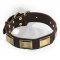Leather Newfoundland Collar with Massive Brass Plates