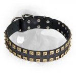 Leather Newfoundland Collar with 2 Rows of Caterpillar Studs