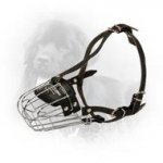 Wire Cage Newfoundland Muzzle - Training and Walking
