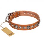 "Daily Chic" FDT Artisan Tan Leather Newfoundland Collar with Decorations