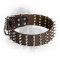 2 Inch Leather Newfoundland Collar with 4 Rows of Spikes