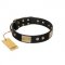 "Antique Gloss" FDT Artisan Black Leather Newfoundland Collar with Bronze-like Plates and Small Studs