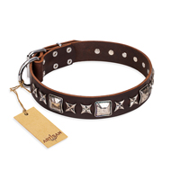 'Perfect Impression' FDT Artisan Newfoundland Brown Leather Dog Collar with Silvery Square Studs - 1 1/2 inch (40 mm) Wide