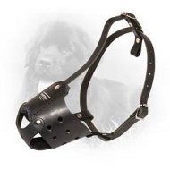 Everyday Leather Newfoundland Muzzle  Everyday Leather Newfoundland Muzzle