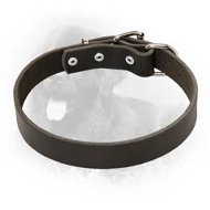 Newfoundland Leather Dog Collar For Pleasant Wearing