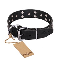 FDT Artisan 'Mystic Skulls' Decorated Leather Newfoundland Dog Collar with Skulls and Studs 1 1/2 inch (40 mm)