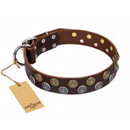 'Strong Shields' FDT Artisan Brown Leather Newfoundland Collar with 2 Rows of Round Brooches