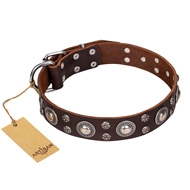 'Age of Beauty' FDT Artisan Incredible Studded Brown Leather Newfoundland Collar