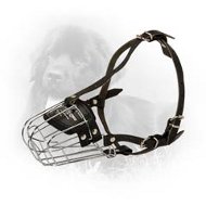 Wire Cage Newfoundland Muzzle - Training and Walking  Wire Cage Newfoundland Muzzle - Training and Walking