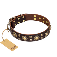 'Flower Melody' FDT Artisan Brown Leather Newfoundland Collar with Mixed Studs