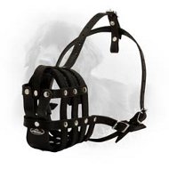 Everyday Lightweight Well Ventilated Leather Newfoundland Muzzle