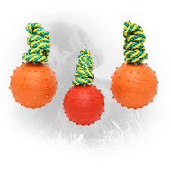 Medium Water Floating Rubber Newfoundland Ball for Training and Playing