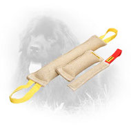 Jute Newfoundland Bite Training Set (3 Dog Items)