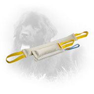 Fire Hose Newfoundland Bite Training Set (3 Dog Items)