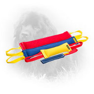 French Linen Newfoundland Bite Training Set (4 Dog Items)