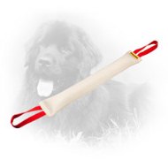 Large Fire Hose Newfoundland Bite Tug for Training of Grown Up Dogs