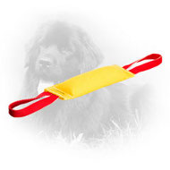 French Linen Newfoundland Bite Tug with 2 Handles