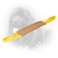 Large Leather Newfoundland Bite Tug with 2 Handles