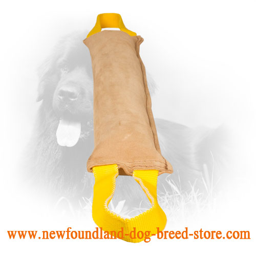 Large Leather Newfoundland Bite Tug with Nylon Handles