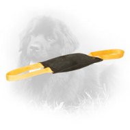 Leather Newfoundland Bite Tug for Young Dog Training