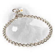 Stainless Steel Newfoundland Choke Collar