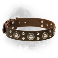 Designer Studded Leather Newfoundland Collar