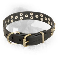 "Starry" Leather Newfoundland Collar with Studs