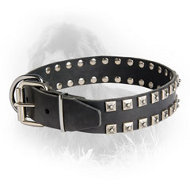 Exclusive "Caterpillar" Leather Newfoundland Collar with Nickel Studs