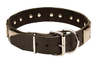 Leather Newfoundland Collar with Vintage Nickel Plated Plates  Leather Newfoundland Collar with Vintage Nickel Plated Plates