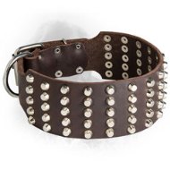 Wide Studded Leather Newfoundland Collar