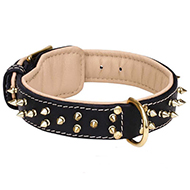 Newfoundland Leather Collar Spiked Nappa Padded