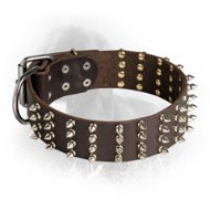 2 Inch Leather Newfoundland Collar with 4 Rows of Spikes