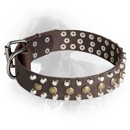 Leather Newfoundland Collar with Pyramids and Half-Ball Studs