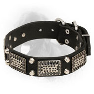Leather Newfoundland Collar with Vintage Plates and Studs