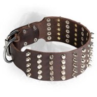 3 Inch Leather Newfoundland Collar with Spikes and Studs