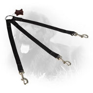Triple Nylon Newfoundland Coupler for Walking 3 Dogs