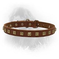Newfoundland Handcrafted Leather 1 Row Square Studded Dog Collar