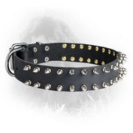 Newfoundland Leather Collar 2 Rows of Nickel Plated Spikes