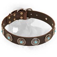 Newfoundland Leather Collar with Blue Stones